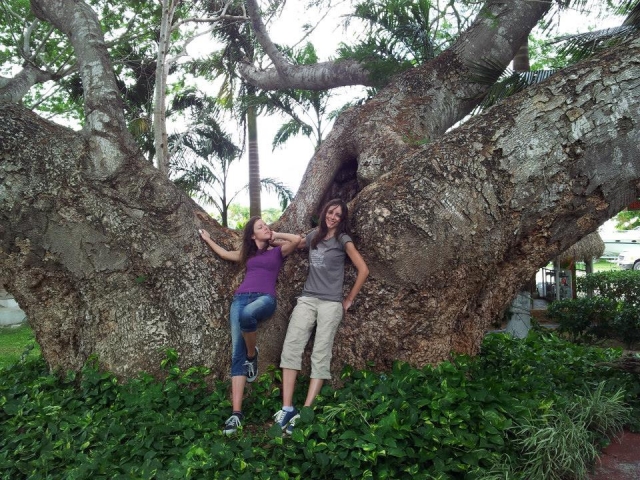Campamentos multiaventura